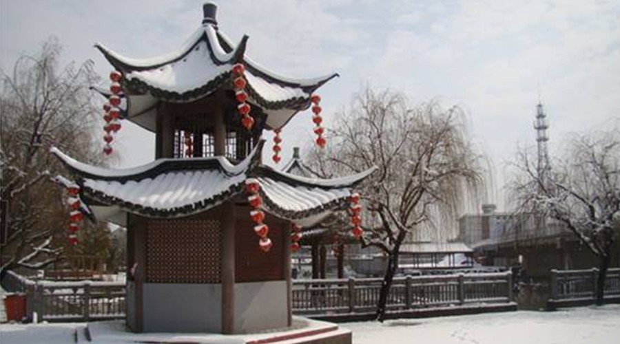 寒假足球青训训练营线上报名,足球小将特训营