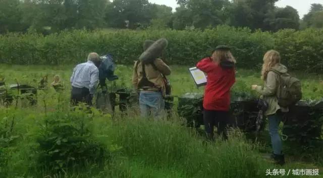 这个英国大叔从地里“种”出了一把椅子，价值2万多！