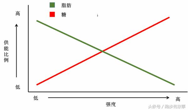 业余马拉松选手能一战辉煌吗,马拉松爱好者和运动员的区别
