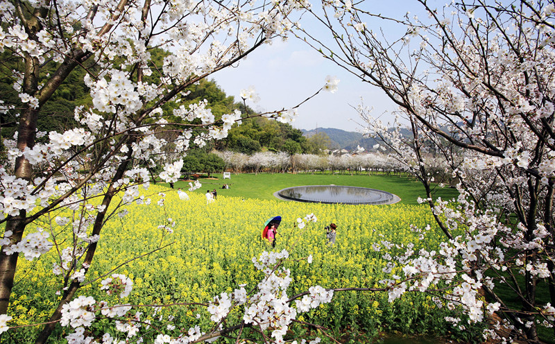 鏌ˉ鏃呭彂闆嗗洟鏈夐檺鍏徃,缁嶅叴鏌ˉ鏃呮父鍙戝睍闆嗗洟