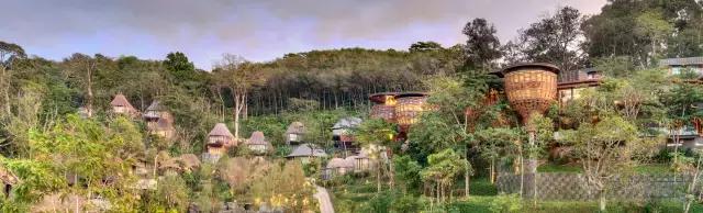 楦熷发搴﹀亣閰掑簵浣撻獙,闅愯棌鍦ㄥ師濮嬫．鏋楃殑娴峰崡楦熷发閰掑簵