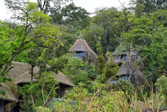 楦熷发搴﹀亣閰掑簵浣撻獙,闅愯棌鍦ㄥ師濮嬫．鏋楃殑娴峰崡楦熷发閰掑簵
