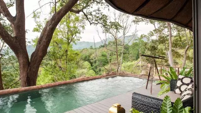 楦熷发搴﹀亣閰掑簵浣撻獙,闅愯棌鍦ㄥ師濮嬫．鏋楃殑娴峰崡楦熷发閰掑簵