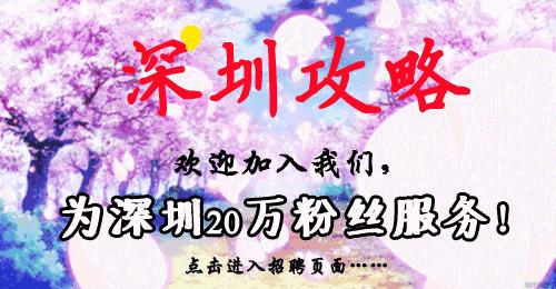 真正的深圳人都是什么样的,真相其实也没有那么重要