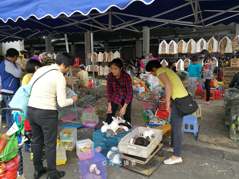 番禺各个镇大集时间表,广州去清远农村赶集