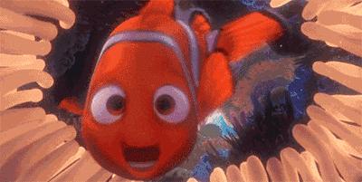 过年要回家鱼没人喂怎么办,过年了要外出家里的鱼怎么办