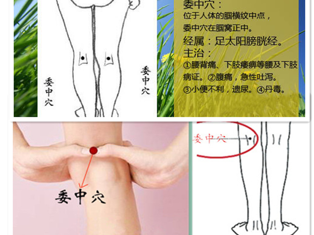 脚踝扭伤肿痛针刺放血,急性腰扭伤经方