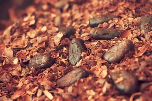 巧克力的天堂甜食爱好者推荐,全球公认十大顶级巧克力品牌