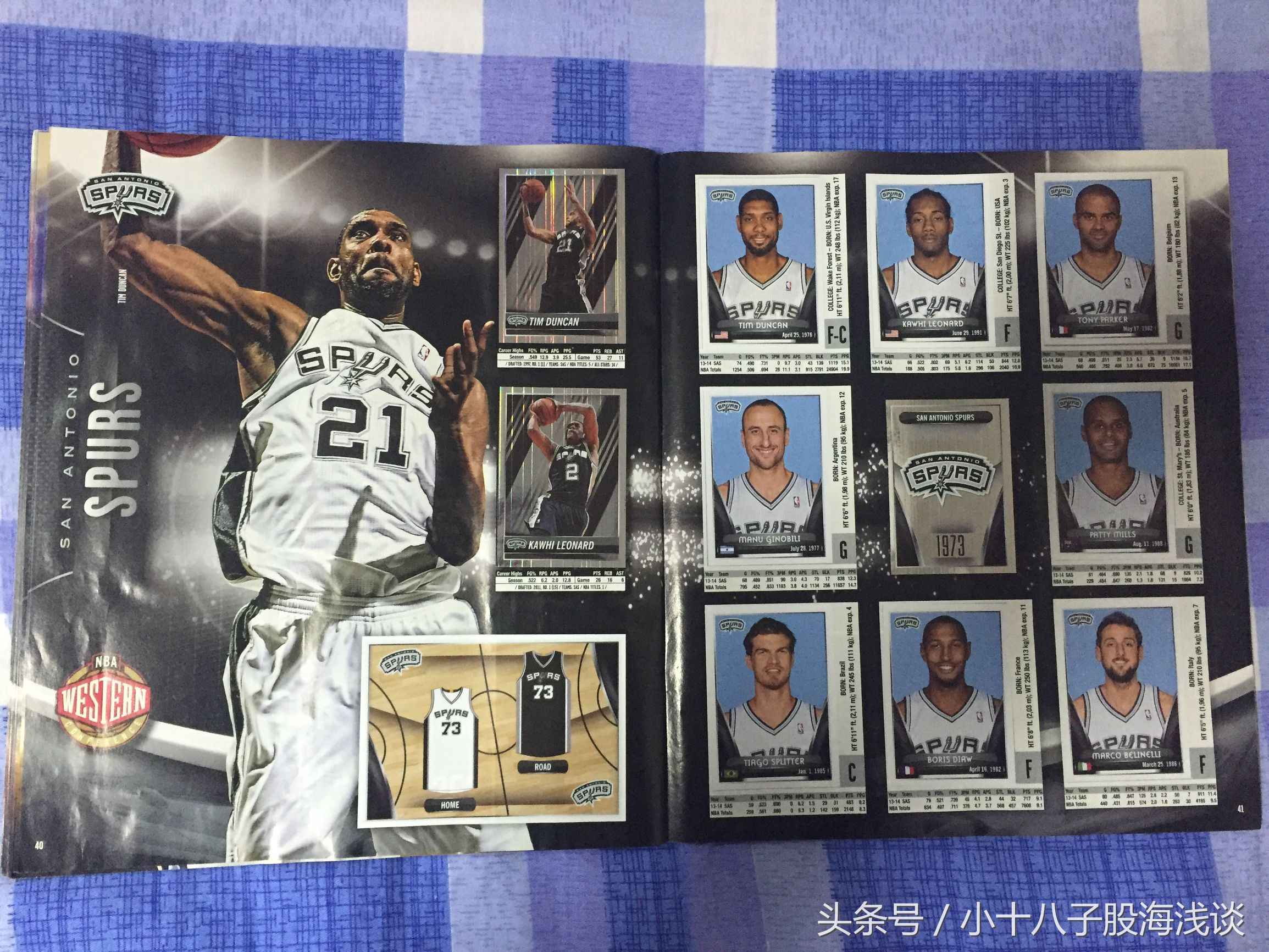 帕尼尼nba贴纸,nba帕尼尼贴纸卡