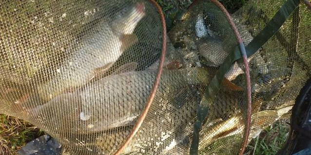 儿子买的鱼竿,钓友公认最好日本5.4米鱼竿