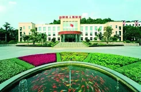 广州花都哪个村最有钱,花都区哪个镇有钱