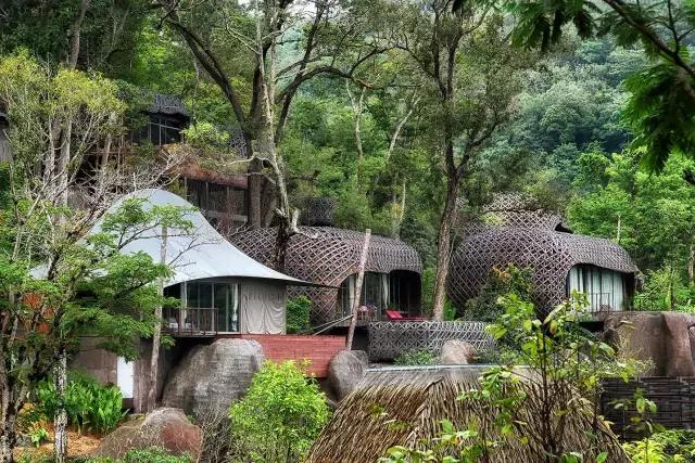 楦熷发搴﹀亣閰掑簵浣撻獙,闅愯棌鍦ㄥ師濮嬫．鏋楃殑娴峰崡楦熷发閰掑簵