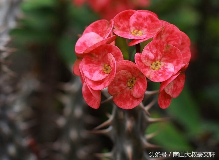 做人要活出自己的模样,做人要个性强