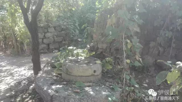 钟灵秀小说,钟灵秀视频