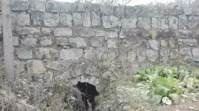 钟灵秀小说,钟灵秀视频