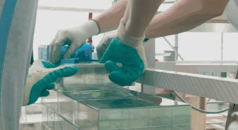 chanel水晶店,chanel珍珠水晶系列