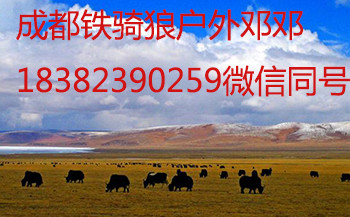 租丰田霸道去318川藏线多少钱,丰田suv318川藏线自驾游