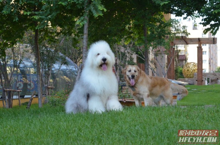 哈弗h9改装中冷管真的有用么 (哈弗h9 2022款改装备胎灯)