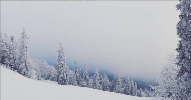 一个月白3度，真的太简单不过