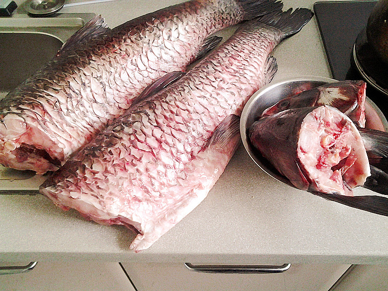 骞磋揣楸肩殑鑵屽埗鏂规硶,骞磋揣鑵屽埗鍜搁奔