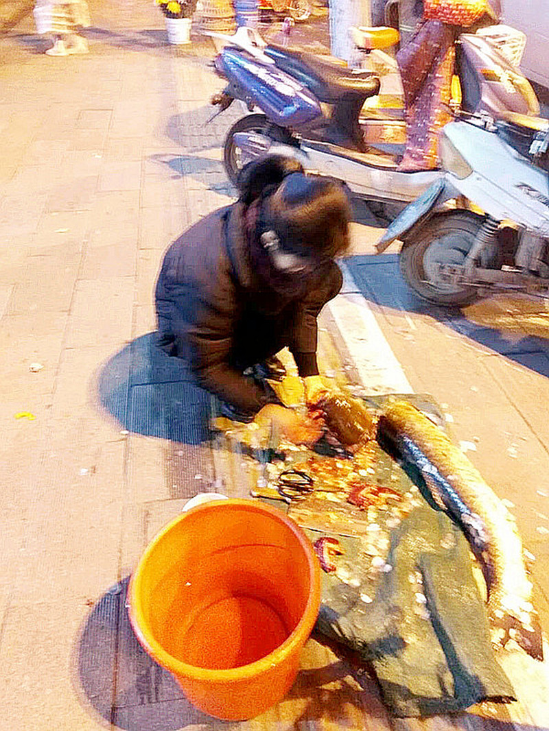 骞磋揣楸肩殑鑵屽埗鏂规硶,骞磋揣鑵屽埗鍜搁奔