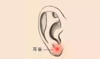 如何正确按揉耳朵,正确揉耳朵的方法