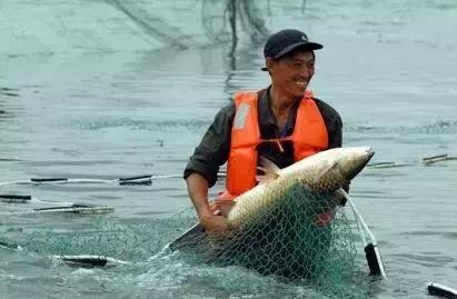 淮北首届南湖捕捞节盛大启幕！