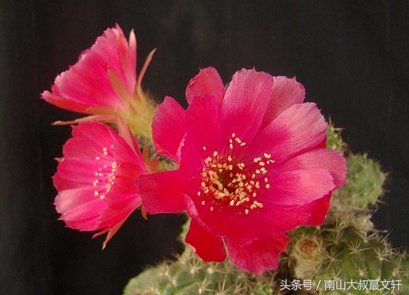 做人要活出自己的模样,做人要个性强