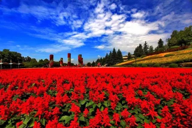 云南大理丽江六日游长春出发,长春到云南大理丽江旅游全攻略