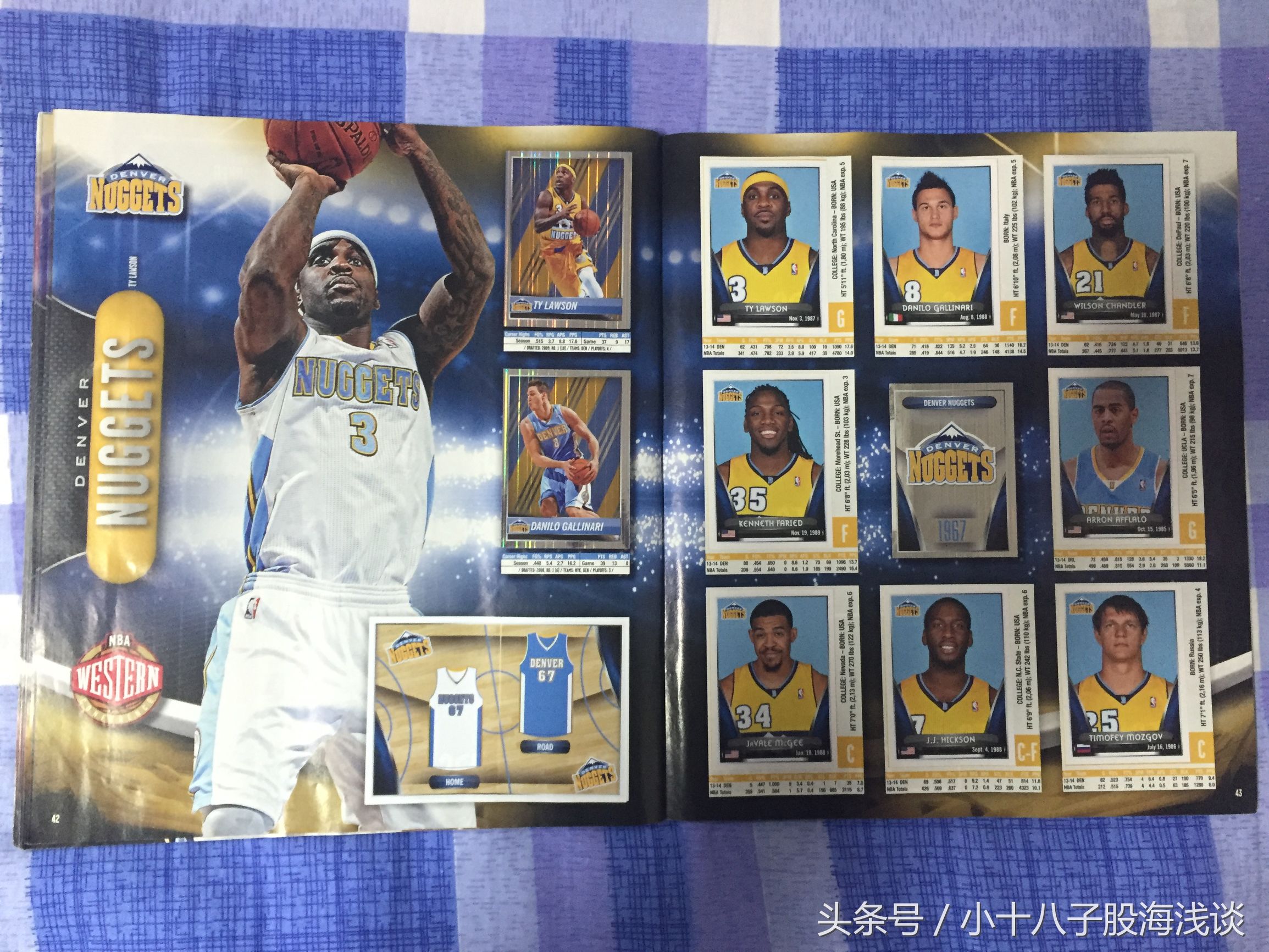 帕尼尼nba贴纸,nba帕尼尼贴纸卡