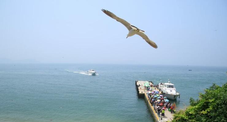 中国最适合居住的城市，就在山东！竟然不是青岛，而是它！