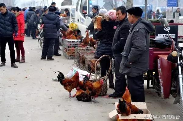 烟台农村大集时间一览表,山东烟台农村大集时间表