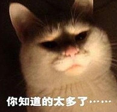 车在囧途︱车速300码时听什么歌最带劲？急！在线等