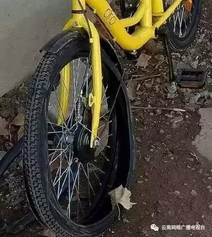 关于共享交通工具的问题,现在共享交通工具有几种