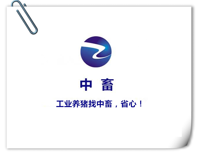 猪黄曲霉素中毒防治措施,黄曲霉素对猪的影响