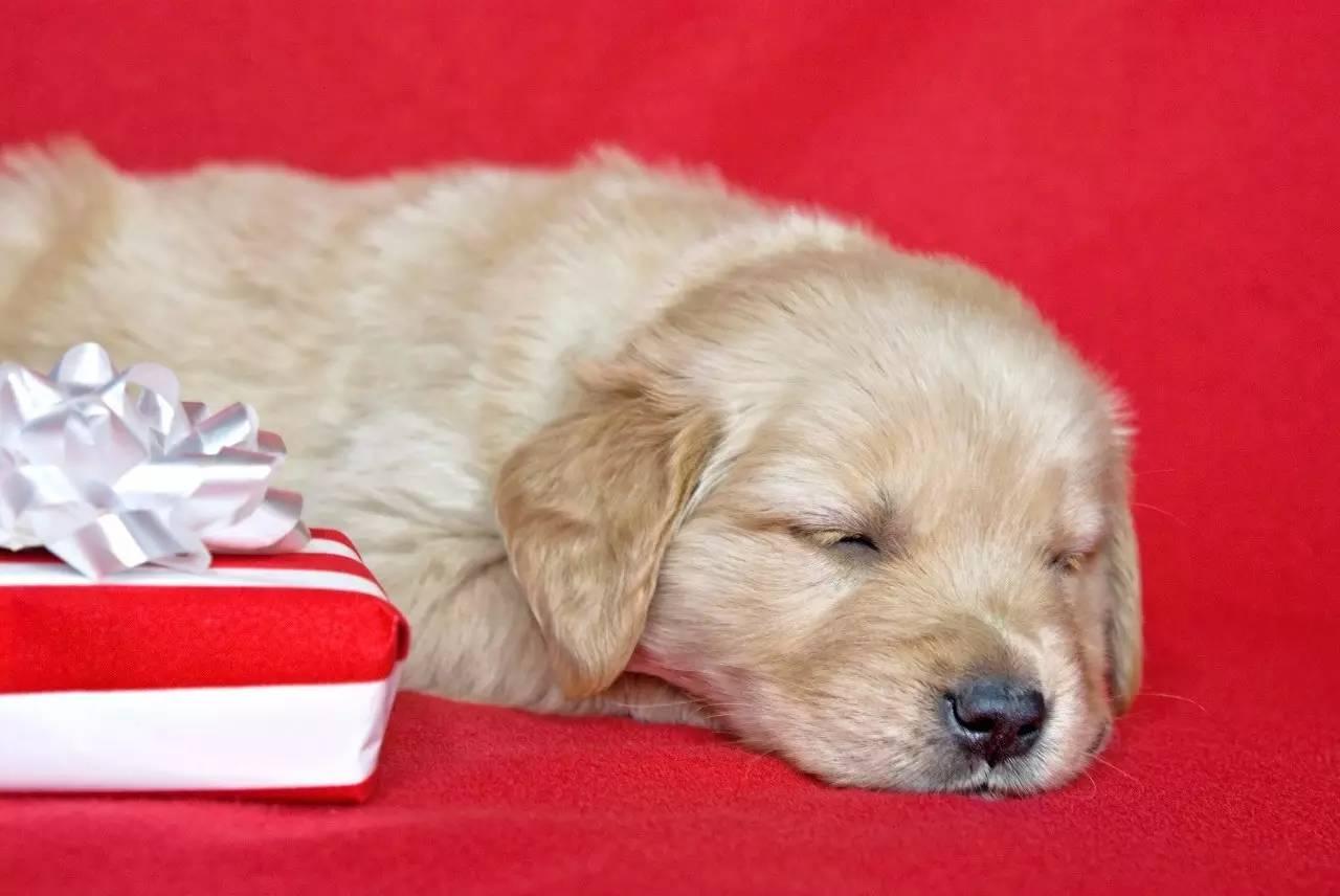 越坐着越困是怎么回事,为什么坐着睡越睡越累