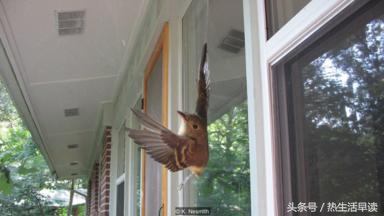 蜘蛛吃巨蛇剩下皮,蜘蛛吃了彼得帕克的蜘蛛侠