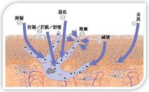 咖啡斑会让人变笨吗,咖啡斑影响颜值吗