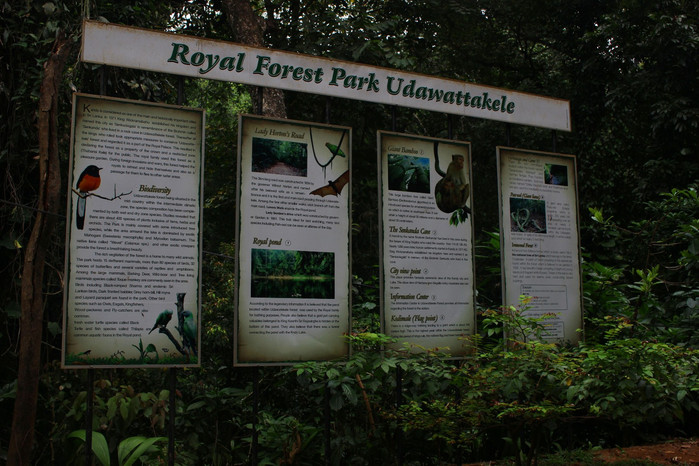 斯里兰卡旅游7天多少钱,去斯里兰卡最便宜方法