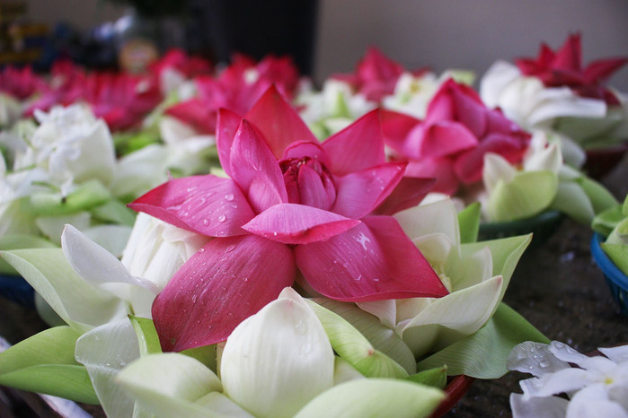 斯里兰卡旅游7天多少钱,去斯里兰卡最便宜方法