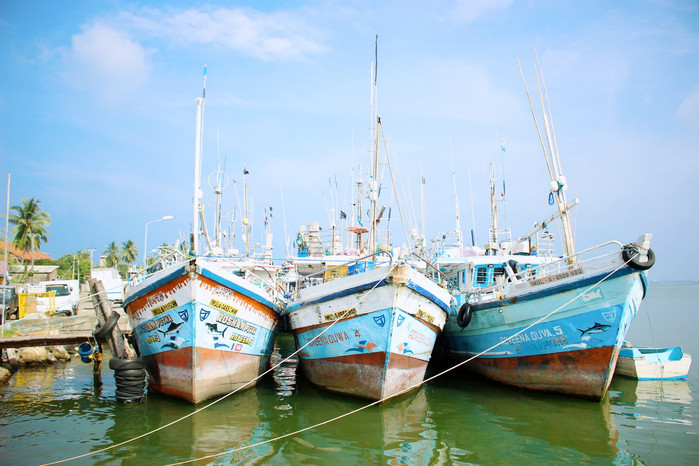 斯里兰卡旅游7天多少钱,去斯里兰卡最便宜方法