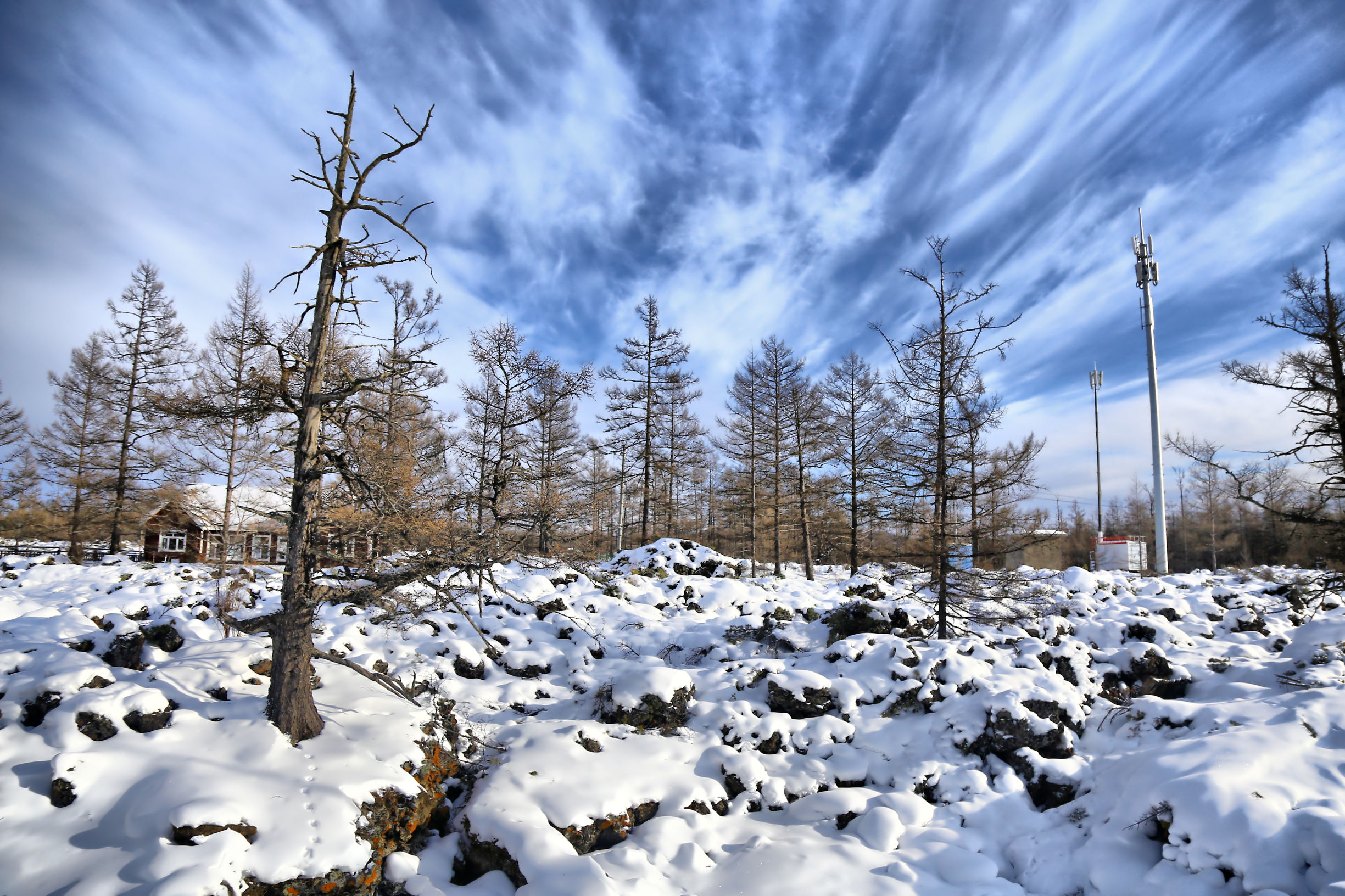 穿越内蒙古大草原雪景,来内蒙古大草原看雪