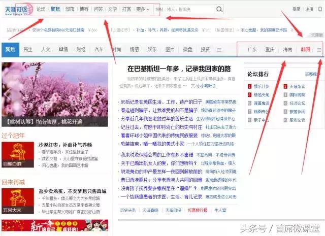 论坛引流,论坛推广引流