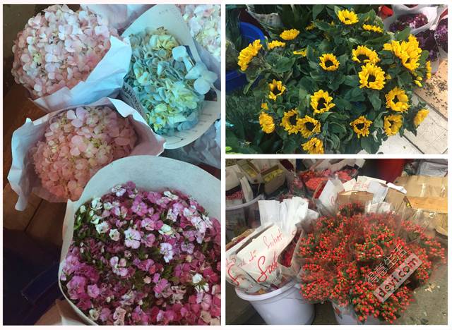 武汉最大的鲜花批发市场,武汉最实惠的鲜花交易市场