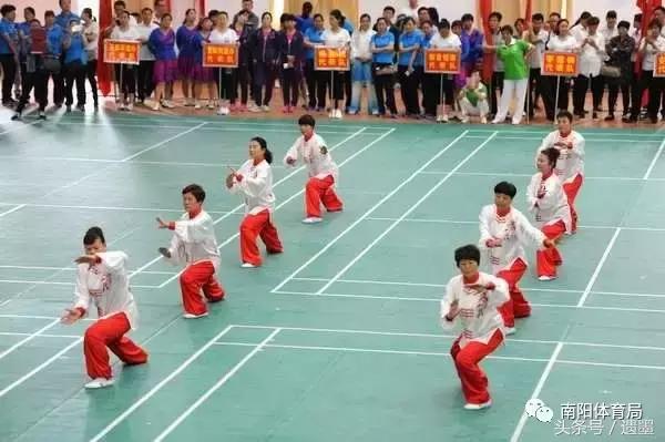 南阳十大热议新闻,南阳体育新闻