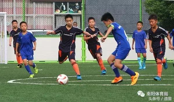 南阳十大热议新闻,南阳体育新闻