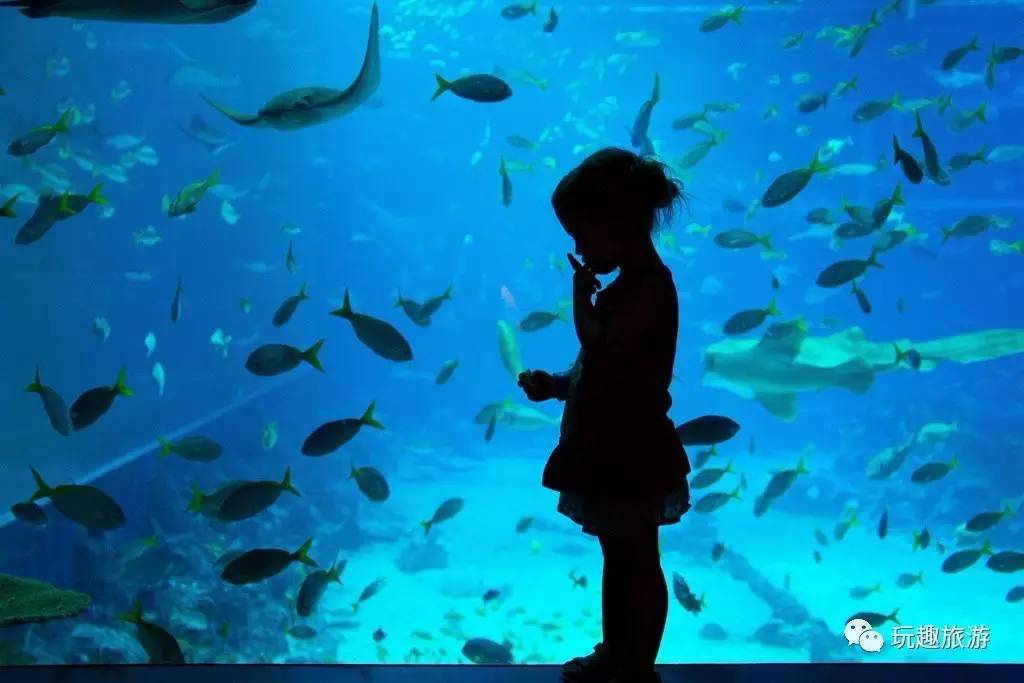 新加坡环球影城亲子攻略,新加坡环球影城攻略一日游