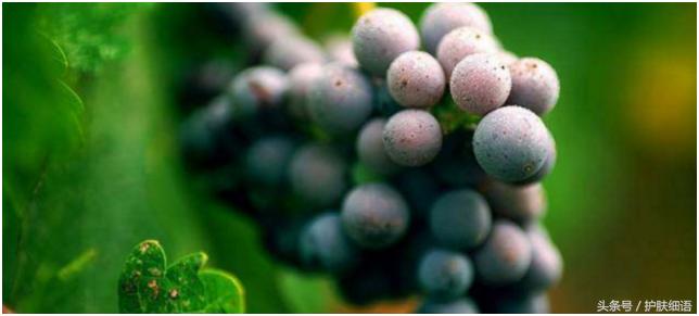 孕妇福利待遇,孕妇为什么皮肤会干燥