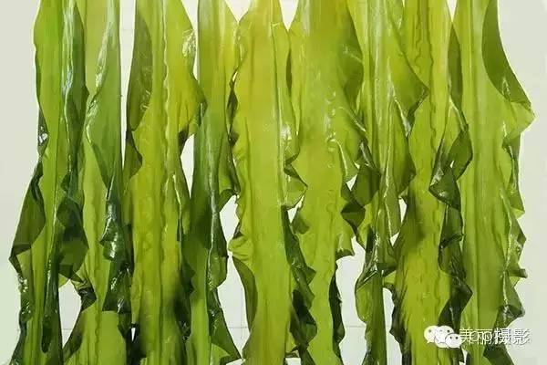 2017年霞浦“海鲜年历”出炉，你知道现在该吃什么吗？