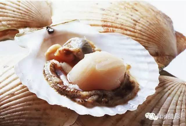 2017年霞浦“海鲜年历”出炉，你知道现在该吃什么吗？